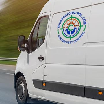 custom pest control company vehicle