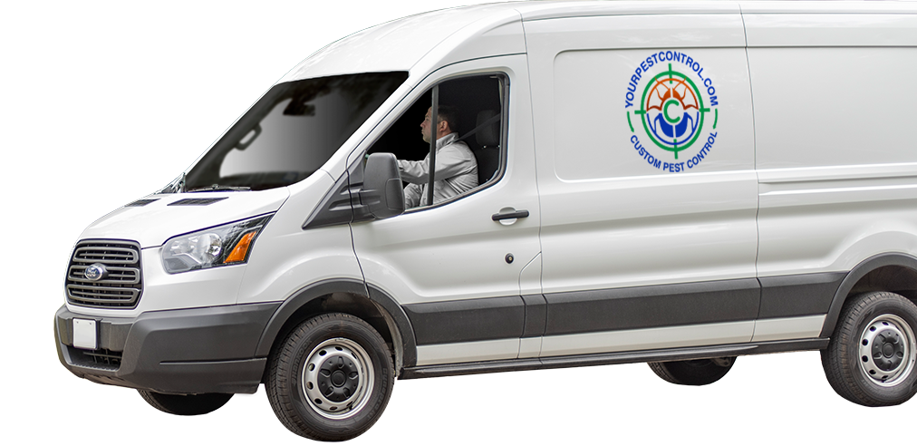 a pest control company service vehicle on a transparent background